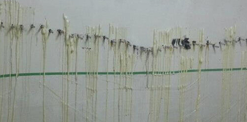 佛山防水補漏公司