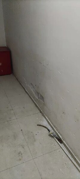 佛山祥順 佛山祥順